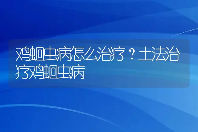 鸡蛔虫病怎么治疗？土法治疗鸡蛔虫病 | 兽医知识大全