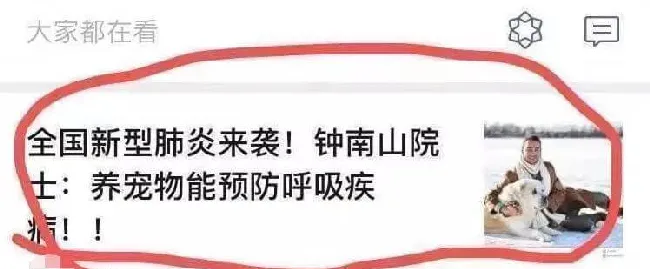 在新型肺炎疫情蔓延下，养宠这件事更要理性 | 宠物新闻资讯