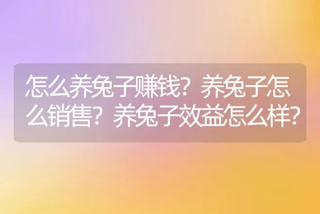 怎么养兔子赚钱？养兔子怎么销售？养兔子效益怎么样？ | 家禽养殖