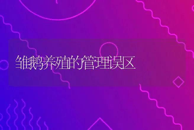 雏鹅养殖的管理误区 | 家禽养殖