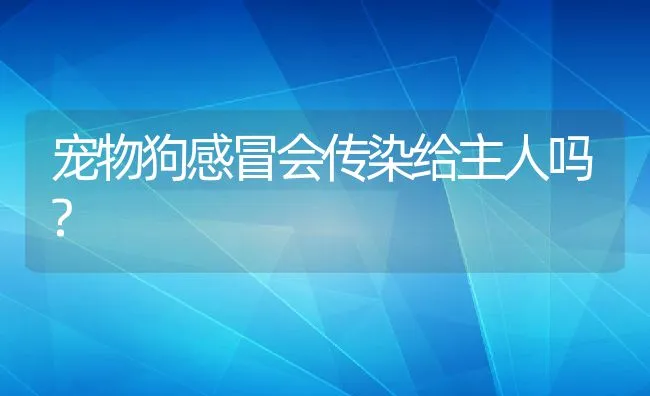 宠物狗感冒会传染给主人吗? | 宠物猫