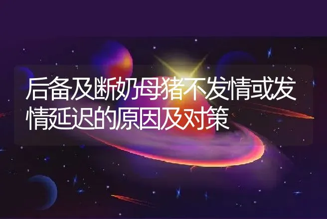 后备及断奶母猪不发情或发情延迟的原因及对策 | 动物养殖