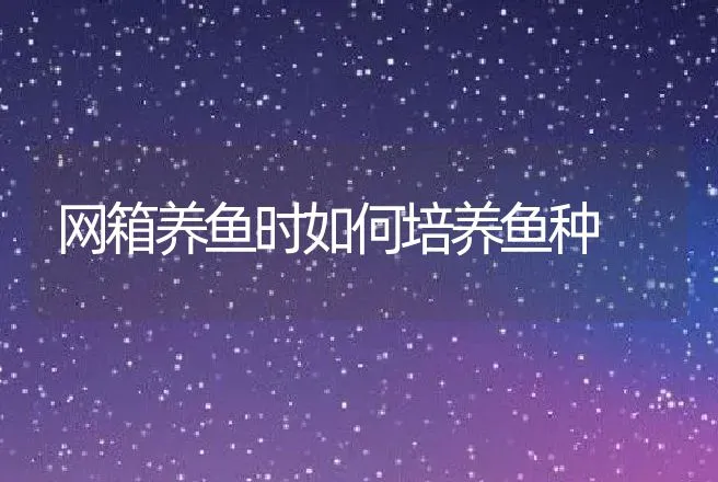 网箱养鱼时如何培养鱼种 | 水产知识