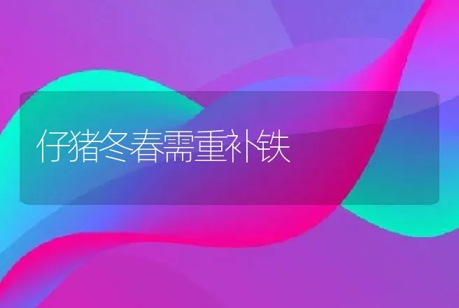 仔猪冬春需重补铁 | 动物养殖