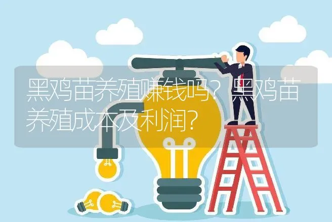 黑鸡苗养殖赚钱吗？黑鸡苗养殖成本及利润？ | 养殖致富