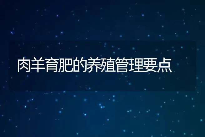 肉羊育肥的养殖管理要点 | 动物养殖