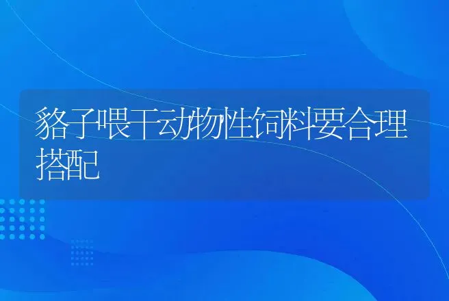 貉子喂干动物性饲料要合理搭配 | 特种养殖