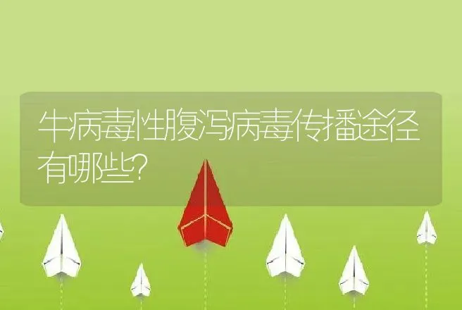 牛病毒性腹泻病毒传播途径有哪些？ | 家畜养殖