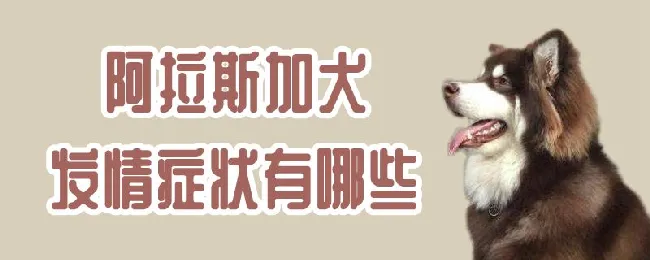 阿拉斯加犬发情症状有哪些 | 宠物病虫害防治