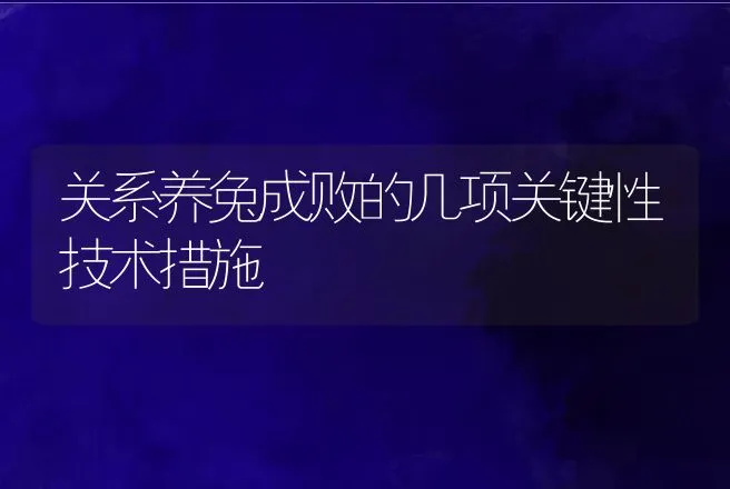 关系养兔成败的几项关键性技术措施 | 动物养殖