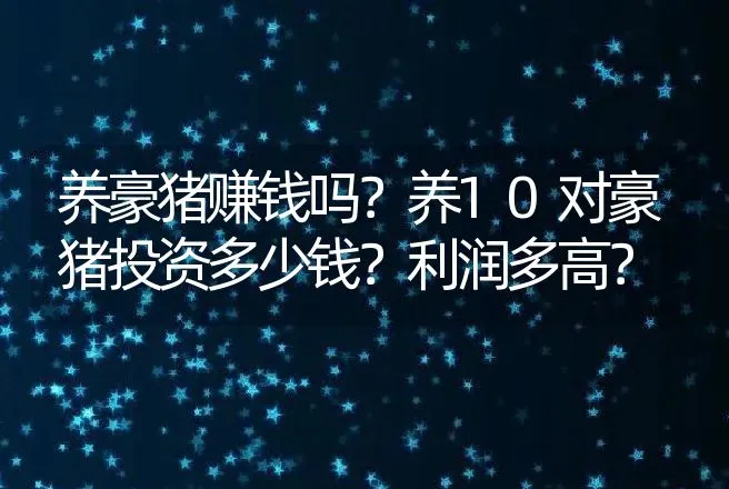 养豪猪赚钱吗？养10对豪猪投资多少钱？利润多高？ | 养殖致富