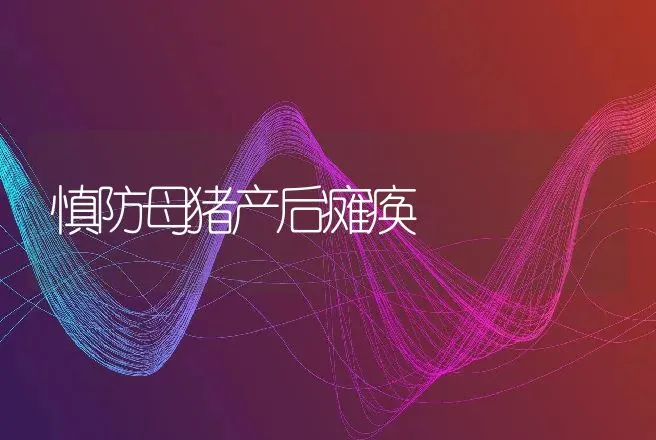 慎防母猪产后瘫痪 | 动物养殖