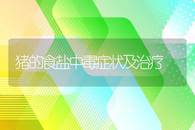 猪的食盐中毒症状及治疗 | 动物养殖