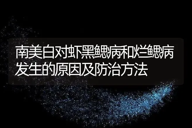 南美白对虾黑鳃病和烂鳃病发生的原因及防治方法 | 动物养殖