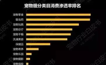 假日需求催火宠物新业态，行业监管需落实 | 宠物行业洞察