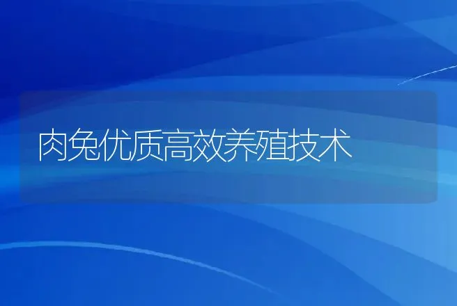 肉兔优质高效养殖技术 | 动物养殖