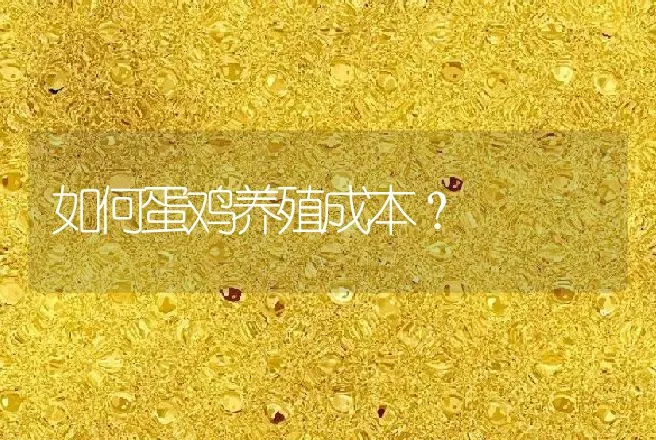 如何蛋鸡养殖成本？ | 动物养殖