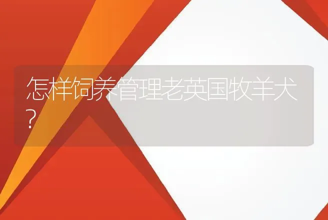 为什么怀孕母猪不宜多喂粉渣 | 动物养殖