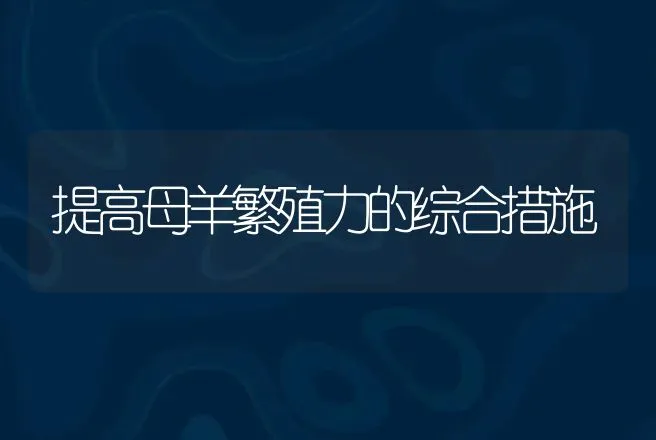 提高母羊繁殖力的综合措施 | 动物养殖