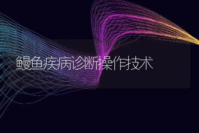 鳗鱼疾病诊断操作技术 | 动物养殖