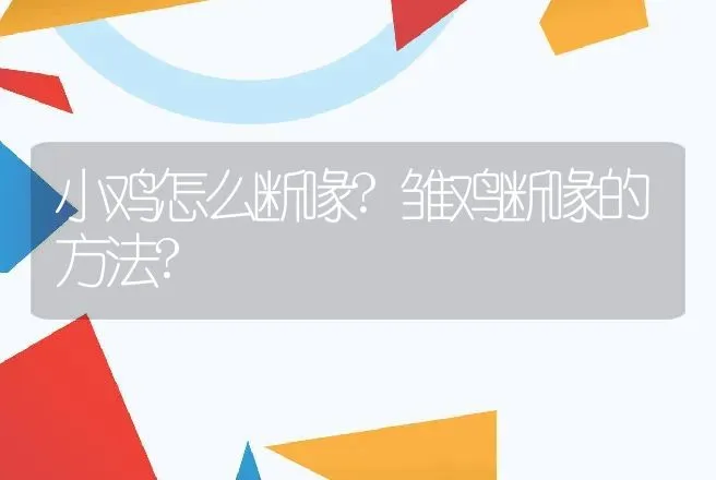 小鸡怎么断喙?雏鸡断喙的方法? | 家禽养殖