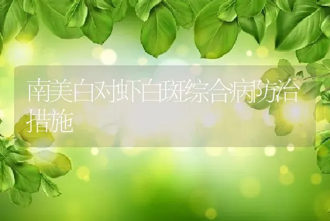 南美白对虾白斑综合病防治措施 | 动物养殖