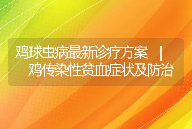 鸡球虫病最新诊疗方案 | 鸡传染性贫血症状及防治 | 家禽养殖