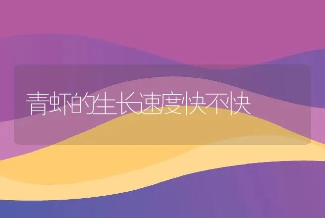 青虾的生长速度快不快 | 动物养殖