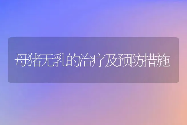 母猪无乳的治疗及预防措施 | 动物养殖