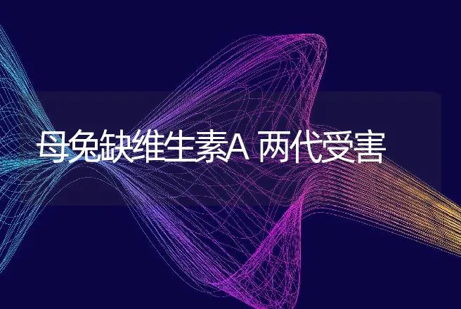 母兔缺维生素A两代受害 | 动物养殖