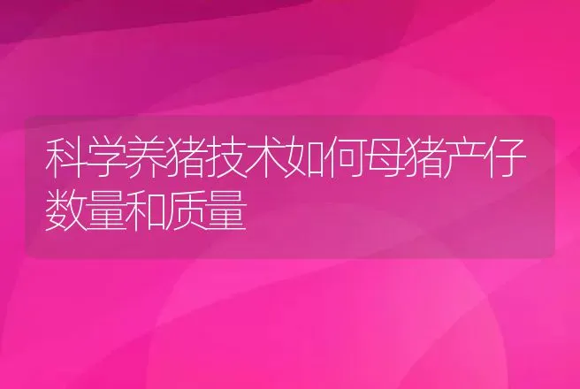 科学养猪技术如何母猪产仔数量和质量 | 家畜养殖