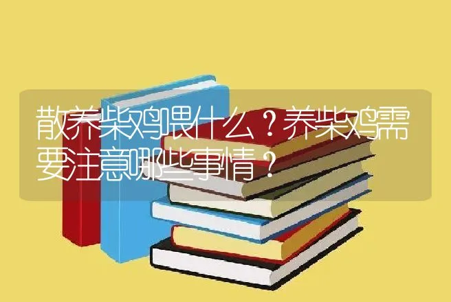 散养柴鸡喂什么？养柴鸡需要注意哪些事情？ | 家禽养殖