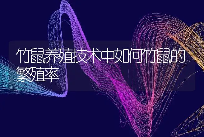 竹鼠养殖技术中如何竹鼠的繁殖率 | 特种养殖