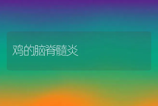 青鱼细菌性败血症的防治 | 动物养殖