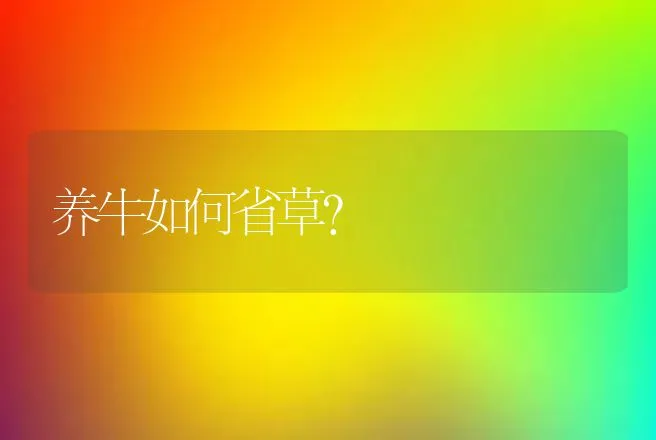 养牛如何省草？ | 动物养殖