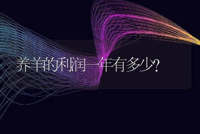 养羊的利润一年有多少？ | 家畜养殖