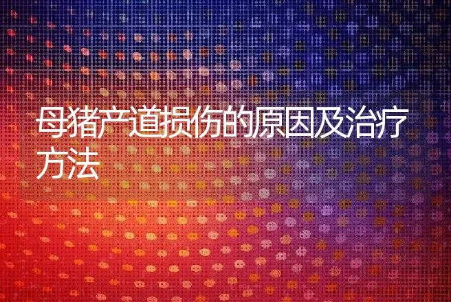 母猪产道损伤的原因及治疗方法 | 兽医知识大全