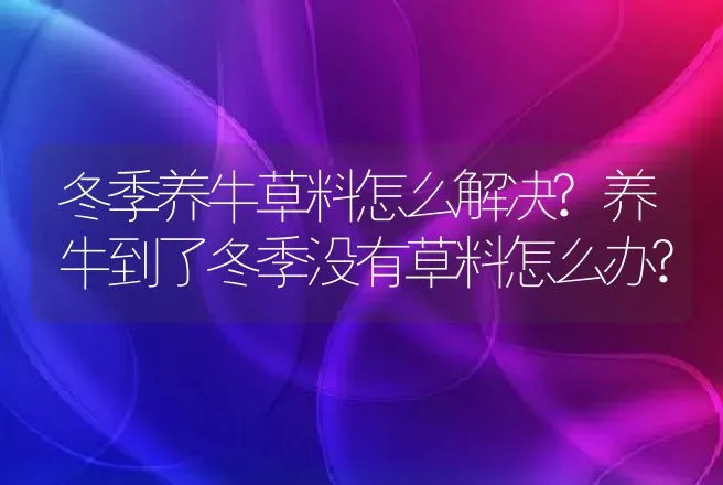 鸡得了刺皮螨病怎么办？ | 兽医知识大全