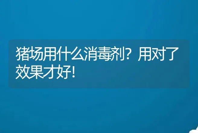 猪场用什么消毒剂？用对了效果才好！ | 兽医知识大全