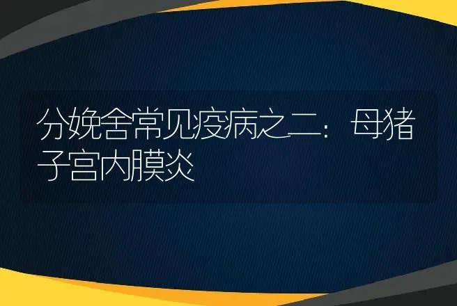 分娩舍常见疫病之二：母猪子宫内膜炎 | 动物养殖