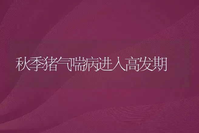 秋季猪气喘病进入高发期 | 兽医知识大全