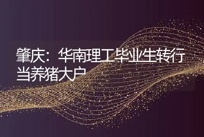 肇庆：华南理工毕业生转行当养猪大户 | 养殖致富