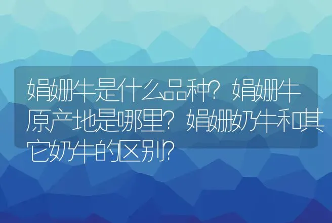 娟姗牛是什么品种？娟姗牛原产地是哪里？娟姗奶牛和其它奶牛的区别？ | 家畜养殖