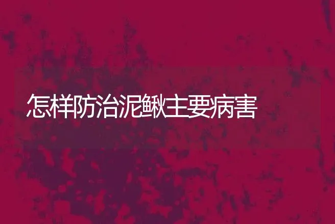 怎样防治泥鳅主要病害 | 动物养殖