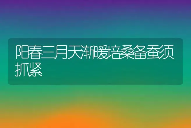 阳春三月天渐暖培桑备蚕须抓紧 | 动物养殖