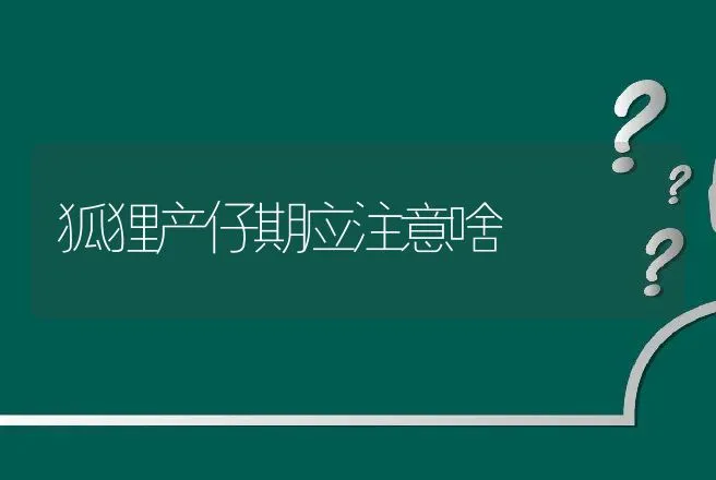 狐狸产仔期应注意啥 | 动物养殖