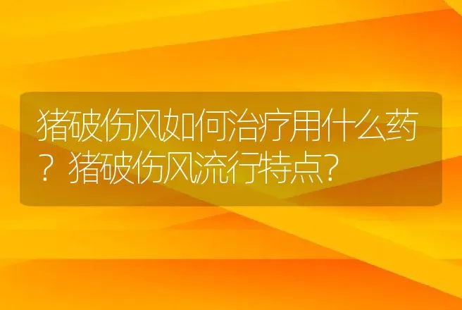 猪破伤风如何治疗用什么药？猪破伤风流行特点？ | 兽医知识大全