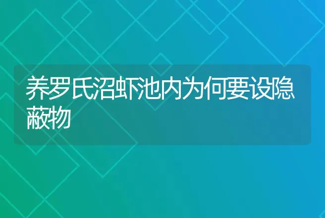 养罗氏沼虾池内为何要设隐蔽物 | 动物养殖