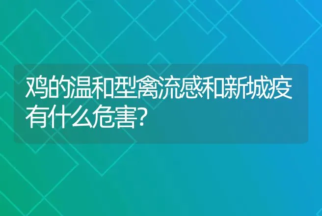 猪场寄生虫防控策略：高效驱虫药物选择与综合防控措施 | 家畜养殖