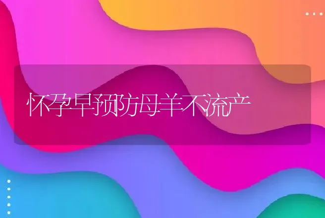 怀孕早预防母羊不流产 | 动物养殖